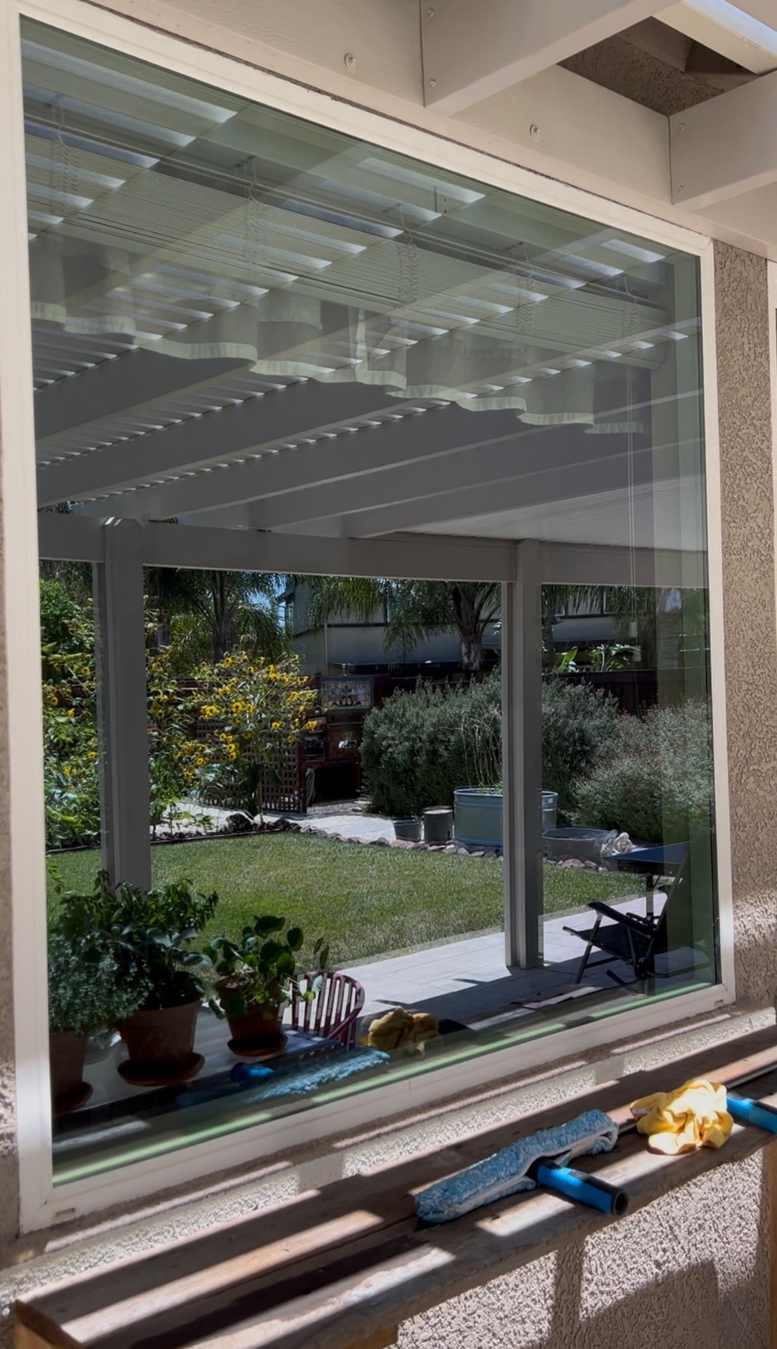 Sparkling window reflecting the yard